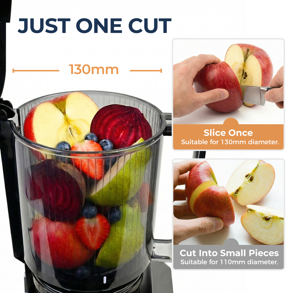 ROUNY Cold Press Extractor wit - Electric Slow Juicer Cold Press 评论和价格